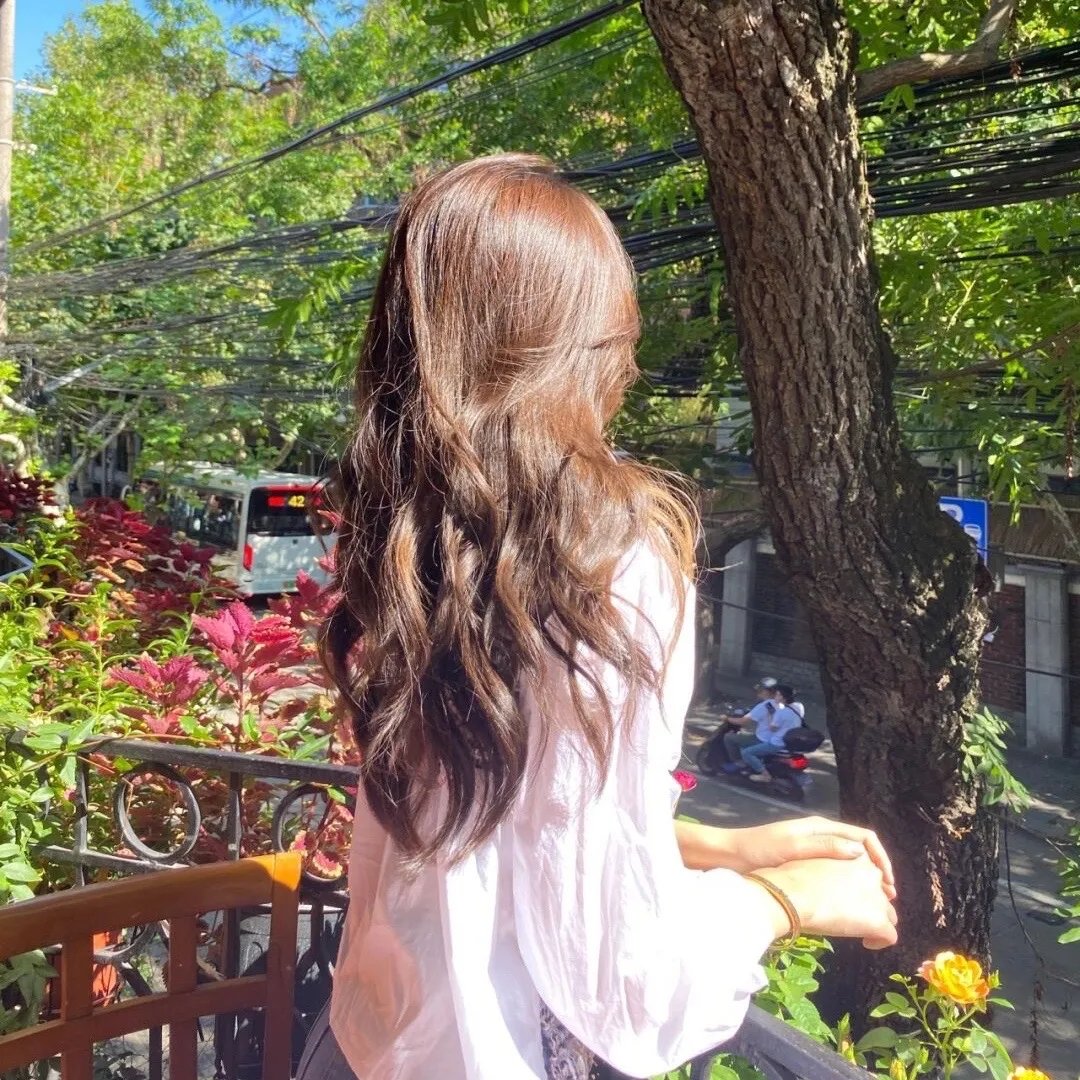 探长与海:在黑森林中独行在线观看封面