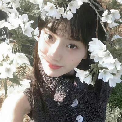 假冒女团在线观看封面